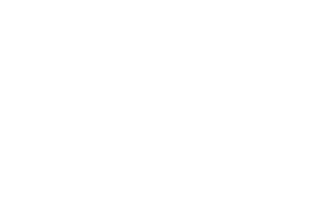 Boishakhi logo